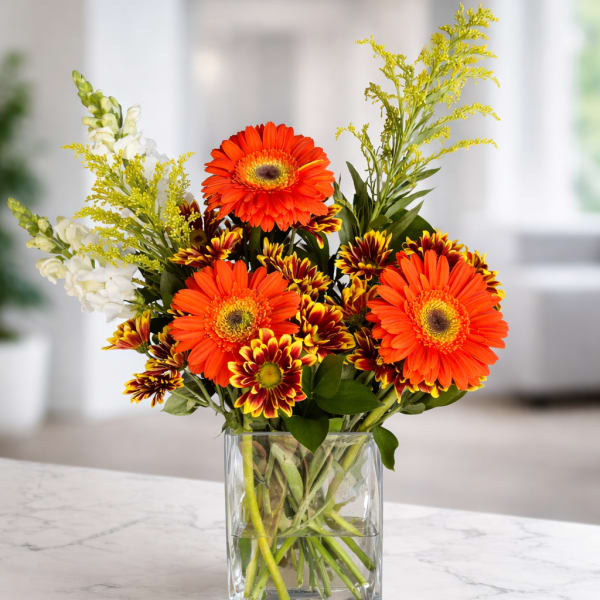 Office Blooms