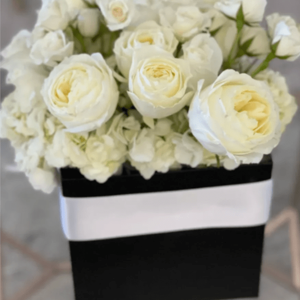 Dior Luxe