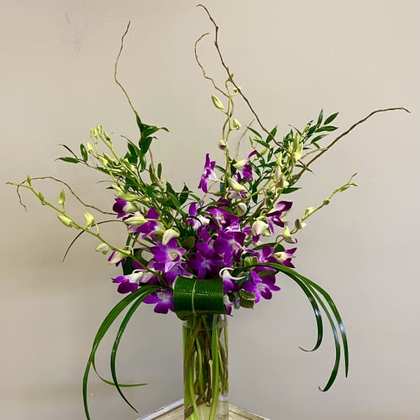Dendrobium Orchids