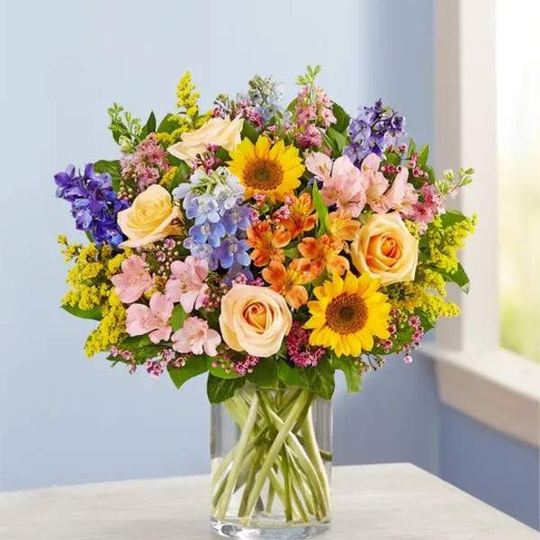 Spring Sensation