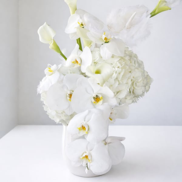 White Whiper