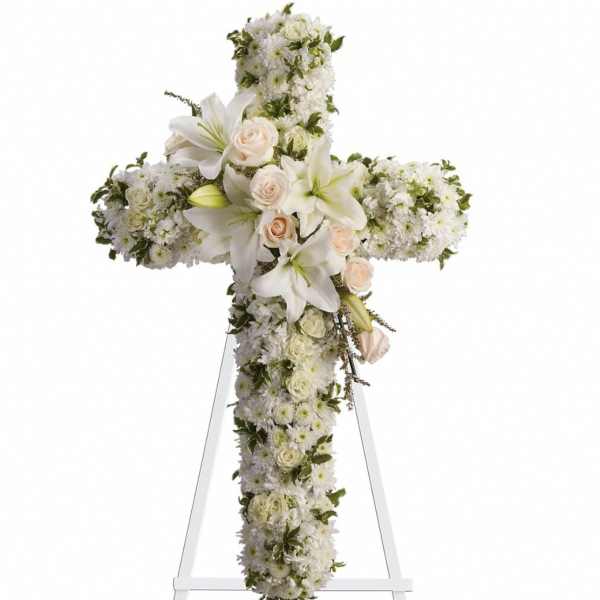 Enlighten Cross