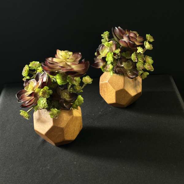 Faux Succulent Duo