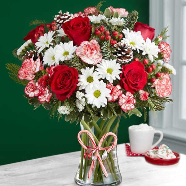 Red roses and white daisies in a glass vase with candy cane ribbon