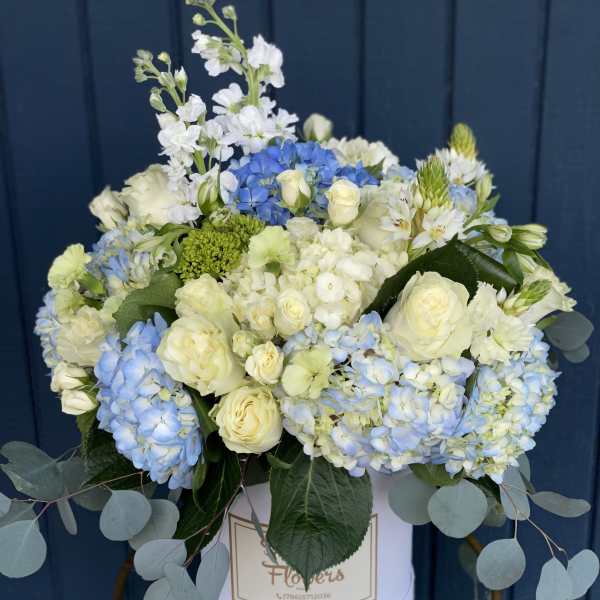 Pretty in Blue