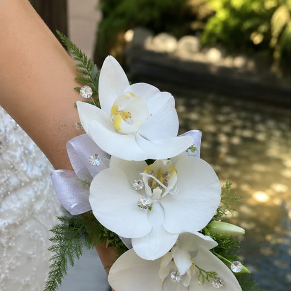 White Phalaenopsis Orchid Corsage