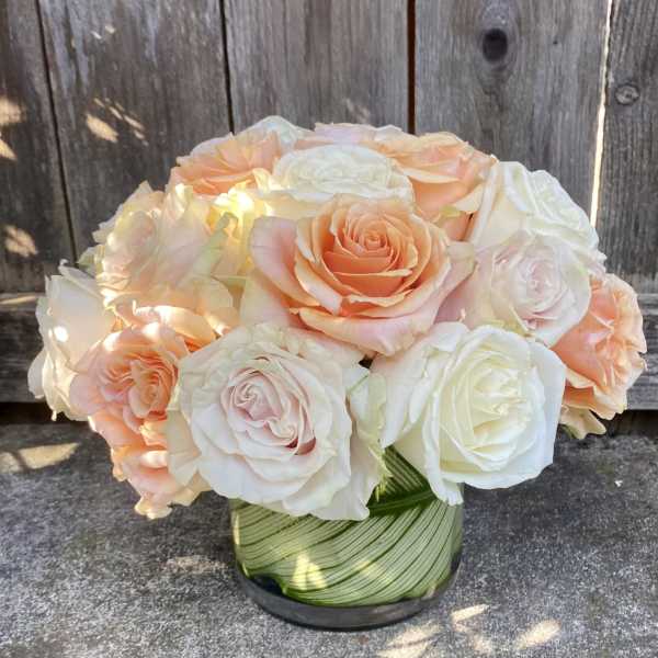 Special Mother's Day Two-Dozen Classic Roses