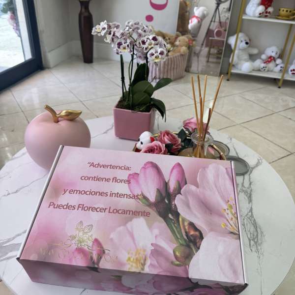Pink orchid plant in a square pot beside a pink gift box
