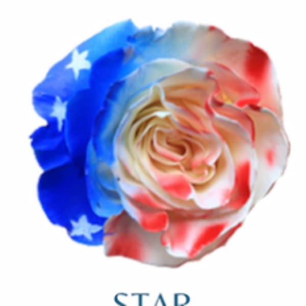 Star Spangled Bouquet