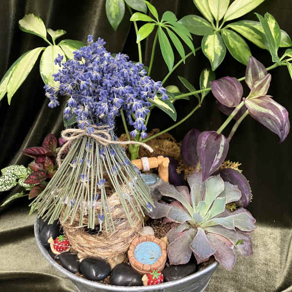 Fairy Garden