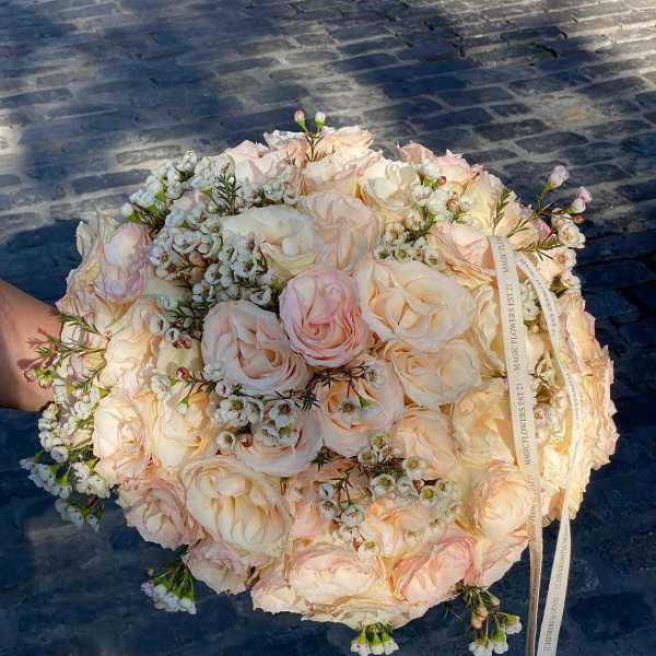 #22 Peachy roses