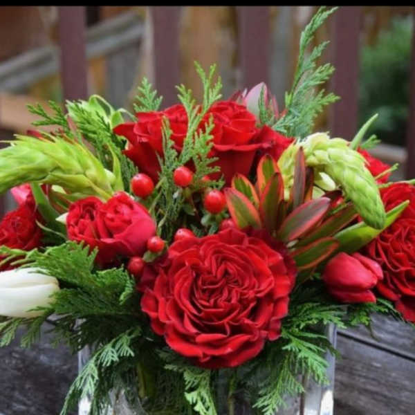 Cube of red roses