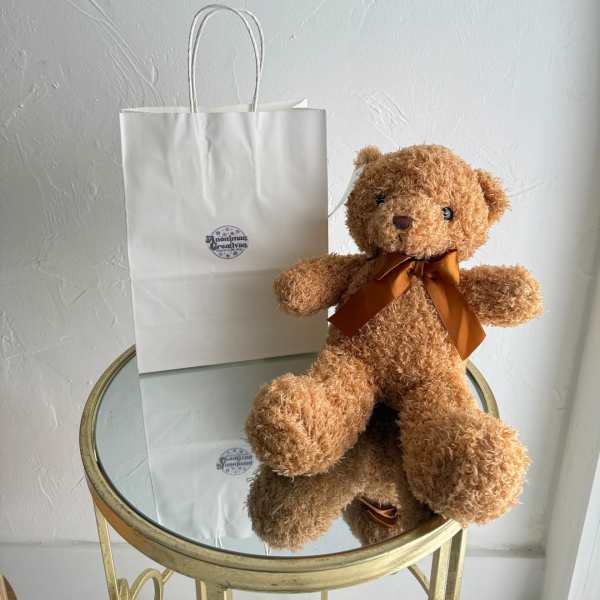 Plush Teddy Bear