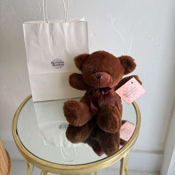 Chocolate Brown Plush Teddy Bear