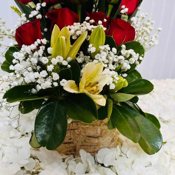 Rosas de Amor