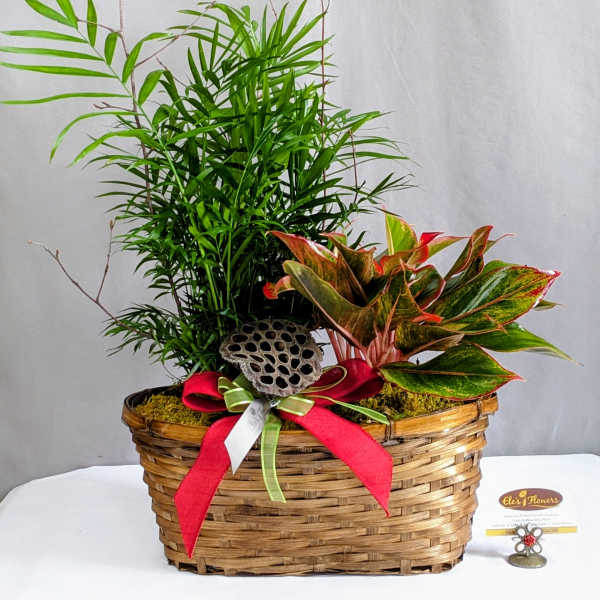 Tropical Harmony Basket