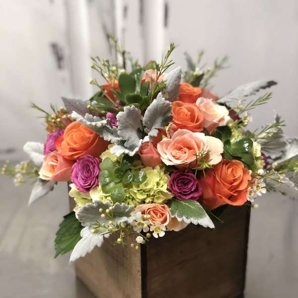 Bright and cheerful