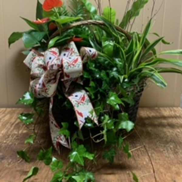 Large Garden Basket