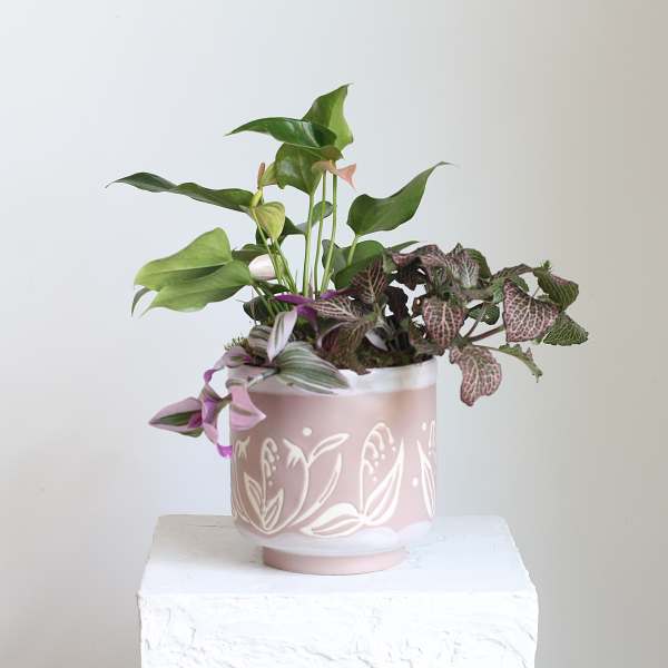 Living Plant Arrangement in Peace Lily Pot