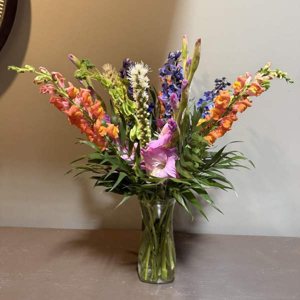 Reach for the Stars