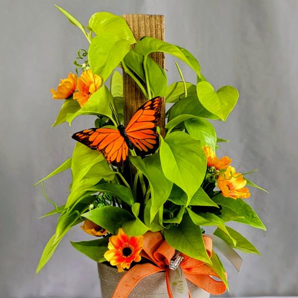 Golden Pothos Totem Pole - 6" Planter