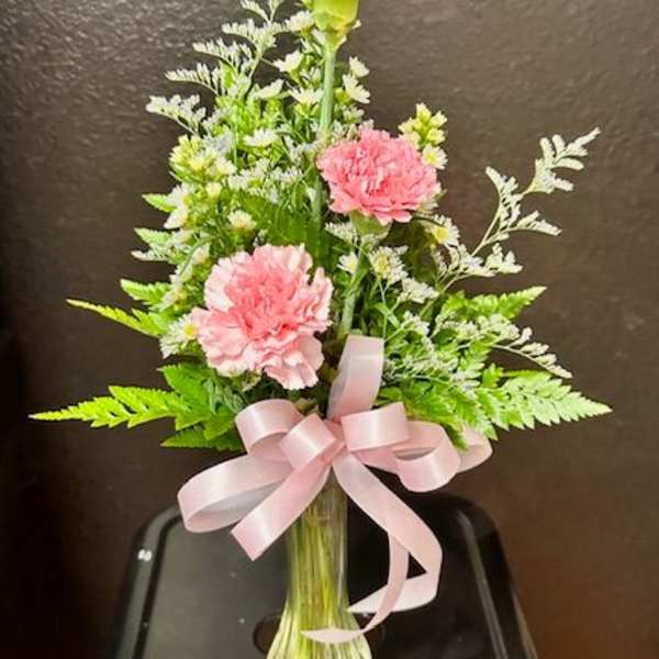 Carnation delight