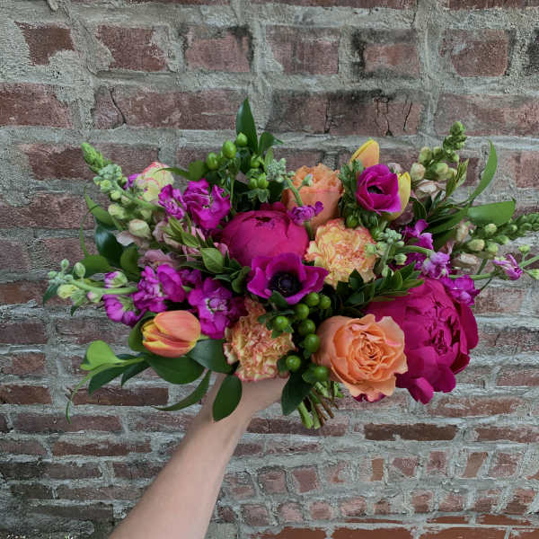 Fuchsia Fun