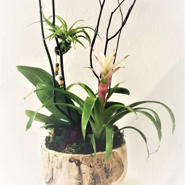 Orchid Bowl