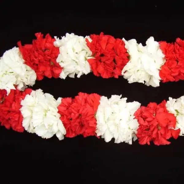MIXED OF RED & WHITE CARNATION LEI