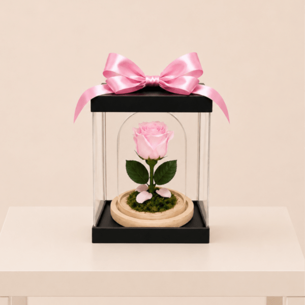Forever Rose – Soft Pink (Height: 6.69 ")