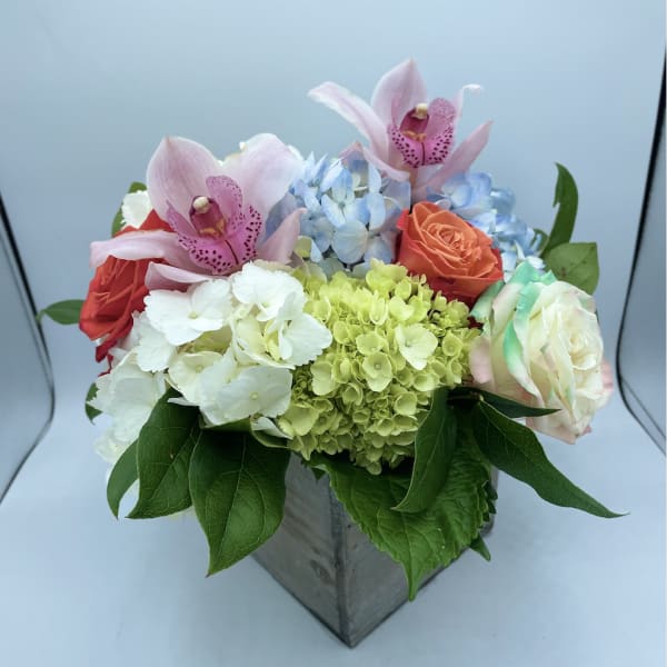 Weekly Special