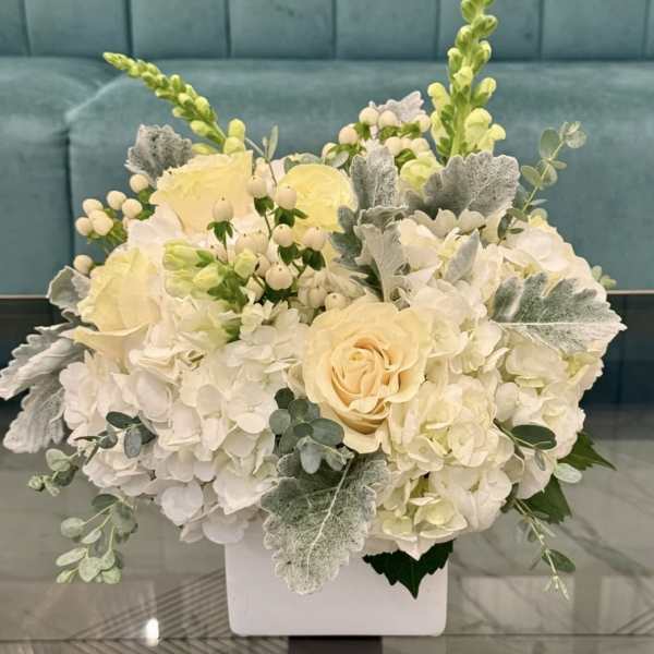 Cloud Bloom