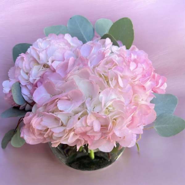 Pink Perfection