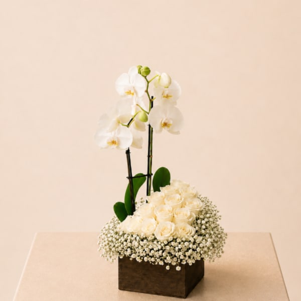 White orchids and cream roses in a square wooden box