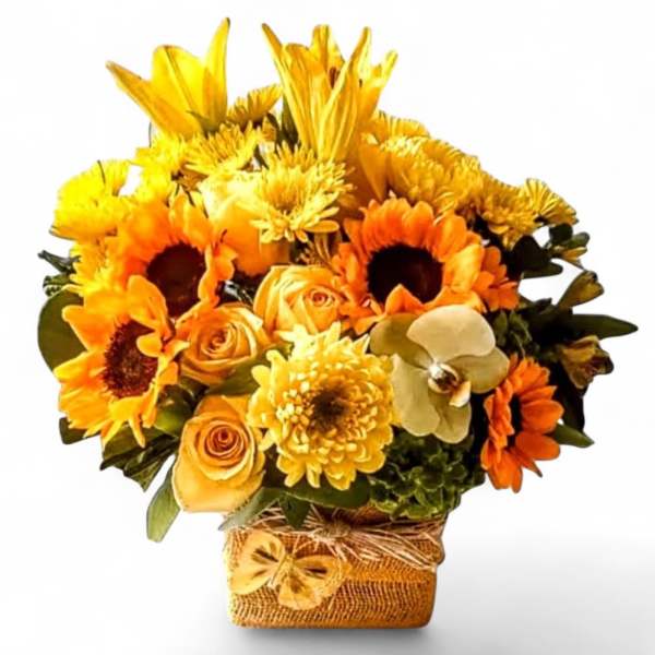 Thinking Of You Designer's Choice