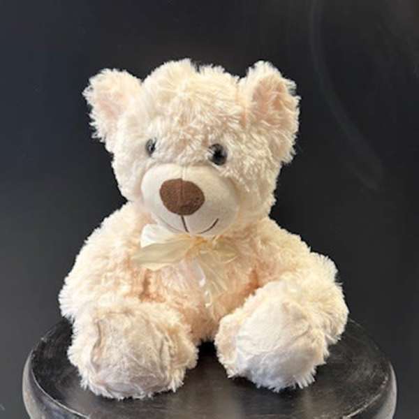 #A021 - Cuddle Bear