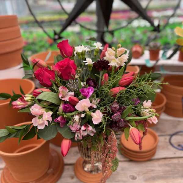 Garden Surprise