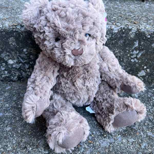 Dark Brown Bear