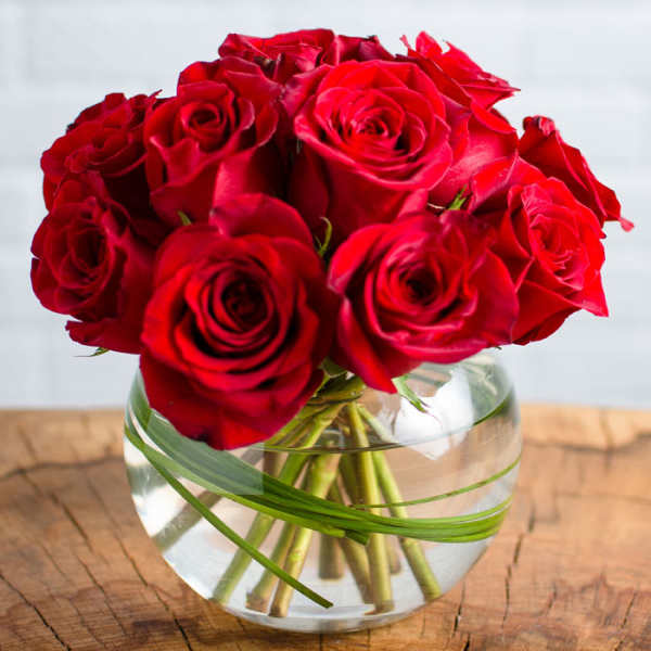 Rose Burst