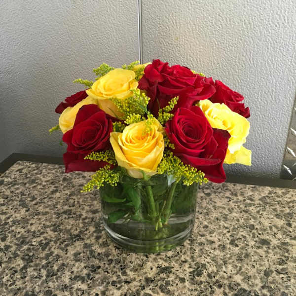Red/Yellow Roses