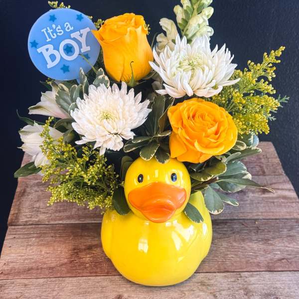 Duck Duck Baby