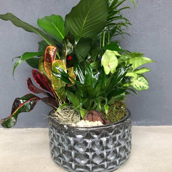Grateful Garden