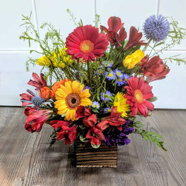 Fall Harvest