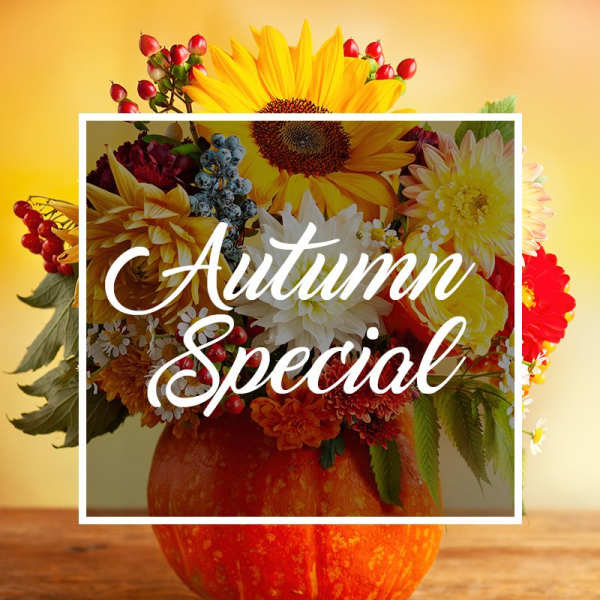 Autumn bouquet of sunflowers and mixed blooms arranged in a pumpkin container