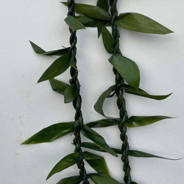 Ti leaf single lei