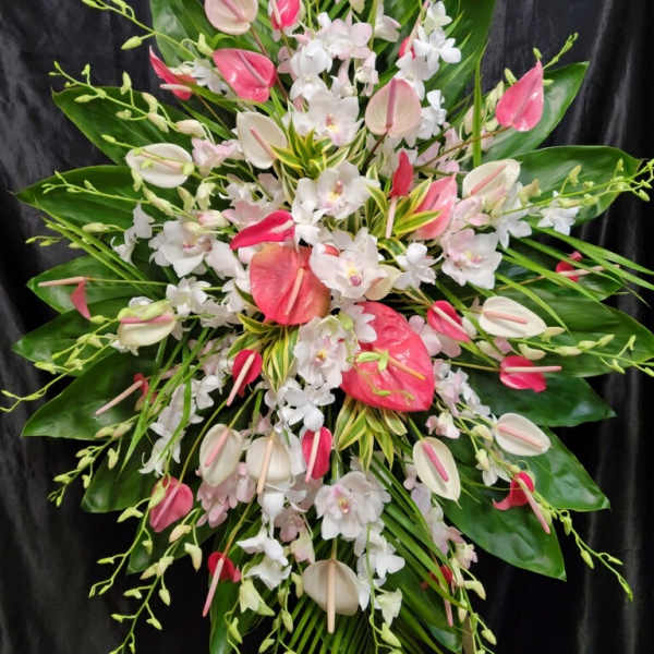 Large tropical floral spray with pink and white blooms on a dark background