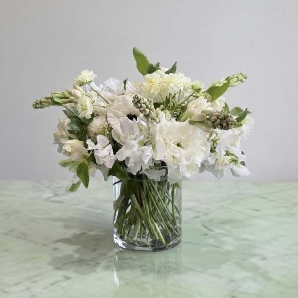 Beautiful White