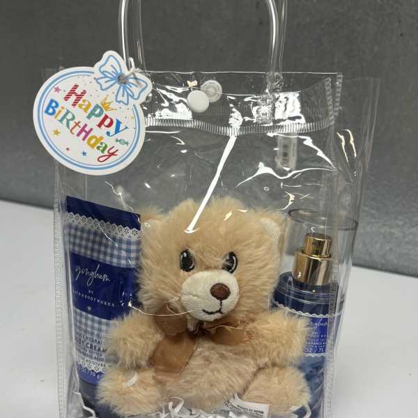 Bath & Body Works Fragrance Bag