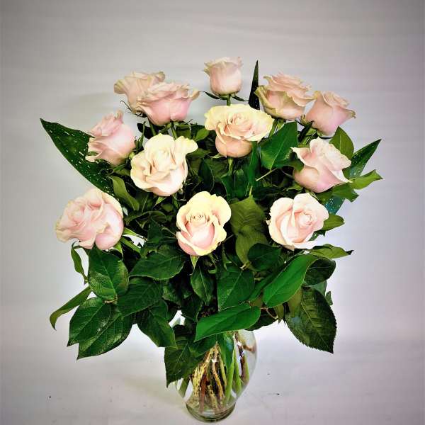 Sweet Pink Roses