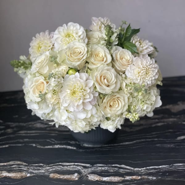 Classic White